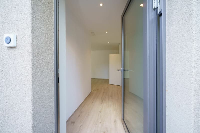 Eingangstüre Wohnung Ausseneingang