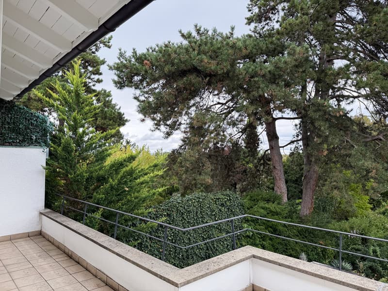 6.5-Zimmer-Doppeleinfamilienhaus mit grossem Garten, Pool und Weitsicht (15)