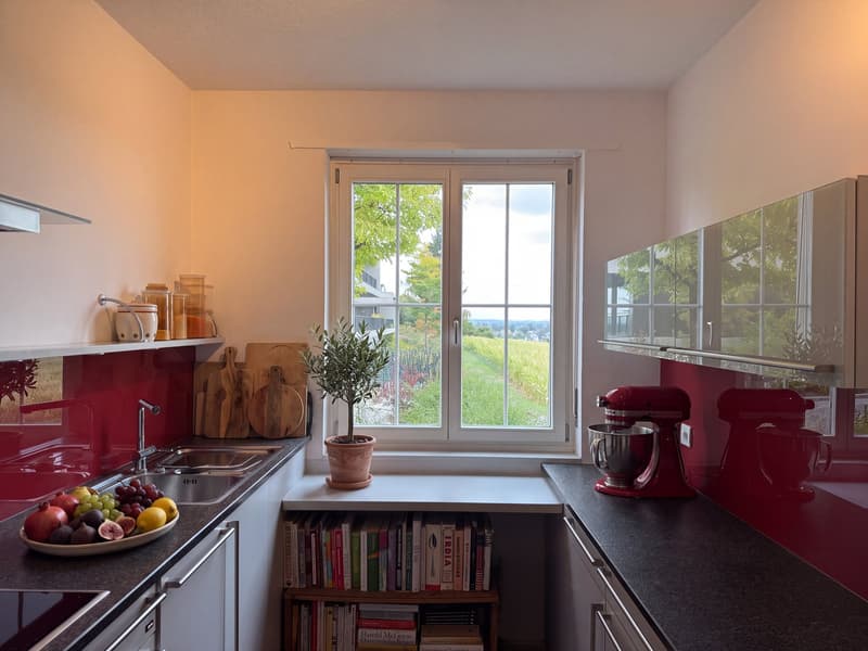 6.5-Zimmer-Doppeleinfamilienhaus mit grossem Garten, Pool und Weitsicht (7)