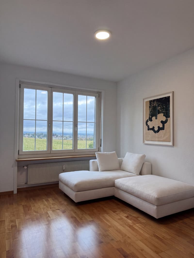 6.5-Zimmer-Doppeleinfamilienhaus mit grossem Garten, Pool und Weitsicht (8)