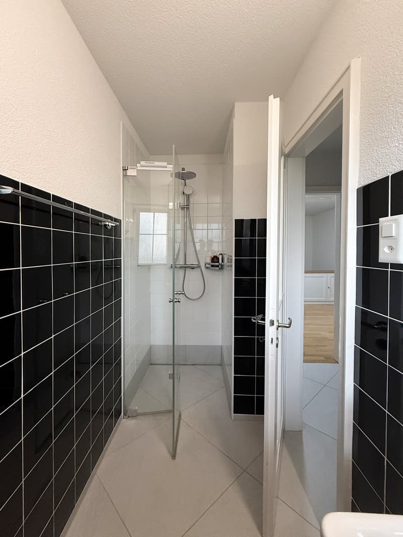 6.5-Zimmer-Doppeleinfamilienhaus mit grossem Garten, Pool und Weitsicht (19)