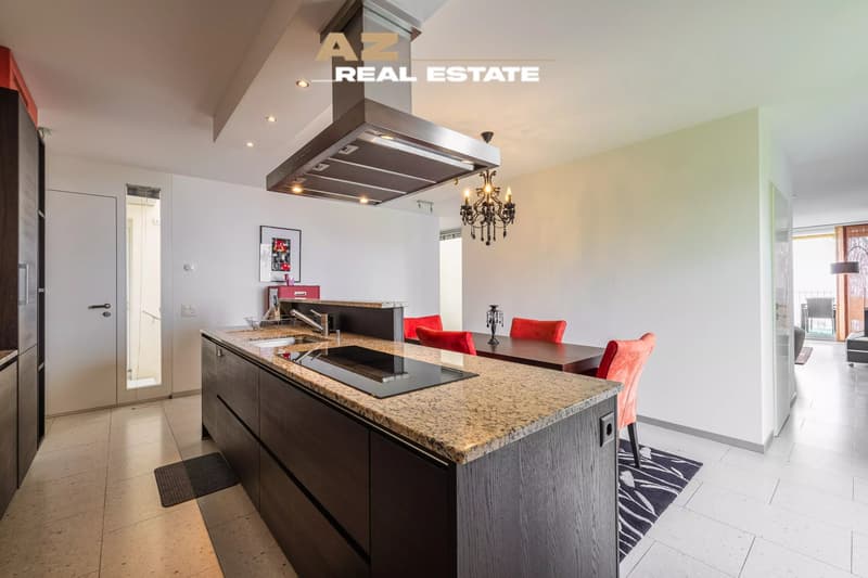 BELMONT-SUR-LAUSANNE UNE SIGNATURE RARE FACE AU LAC (8)