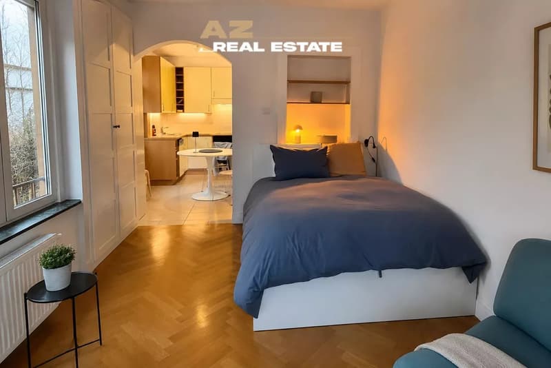 Charmant studio avec vue sur le lac ? Pully 620 000 CHF (4)