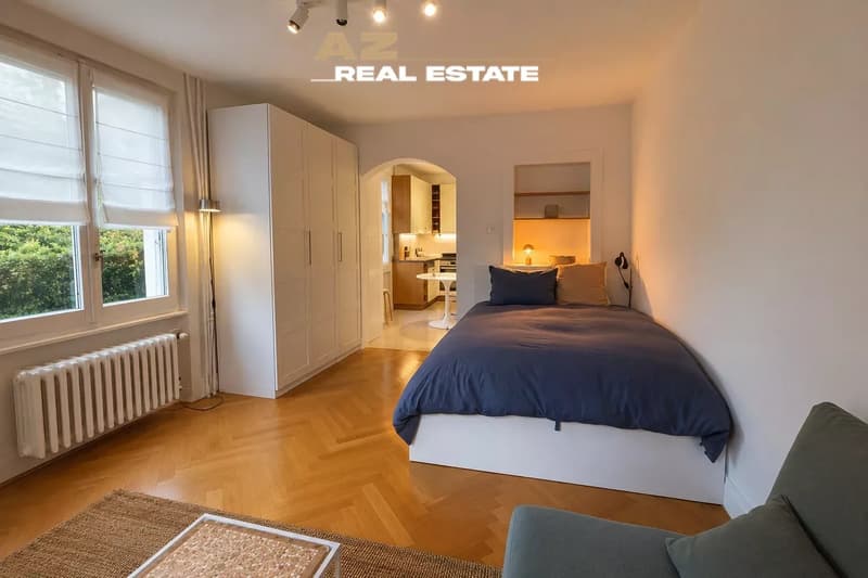 Charmant studio avec vue sur le lac ? Pully 620 000 CHF (3)