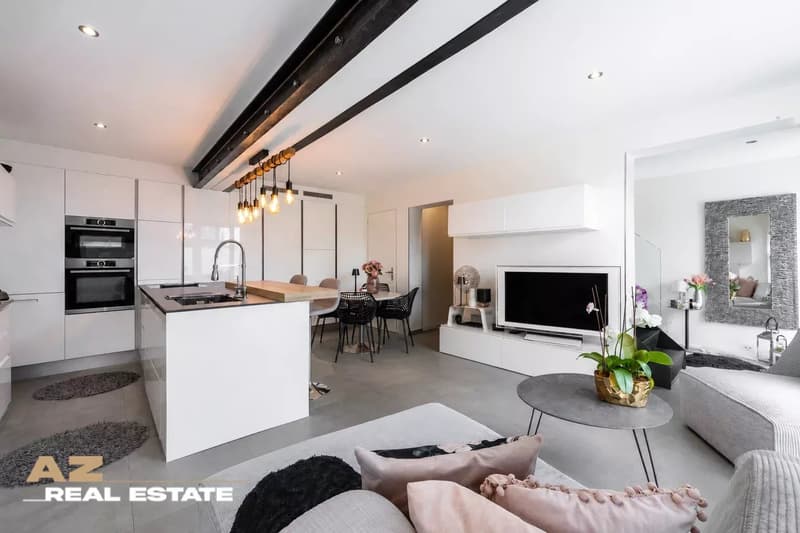 Magnificent Triplex in the heart of Penthaz (3)