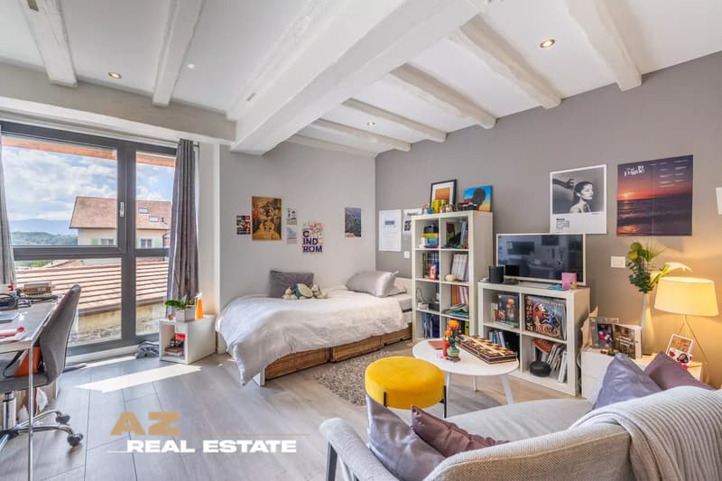 Magnificent Triplex in the heart of Penthaz (8)