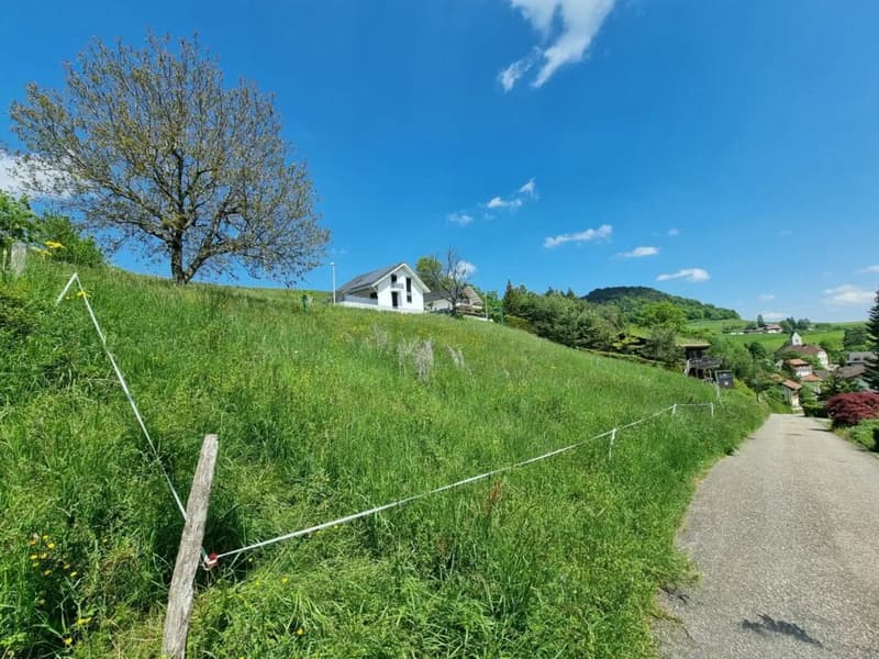 Ampio terreno edificabile con vista panoramica a Bretzwil in vendita (6)