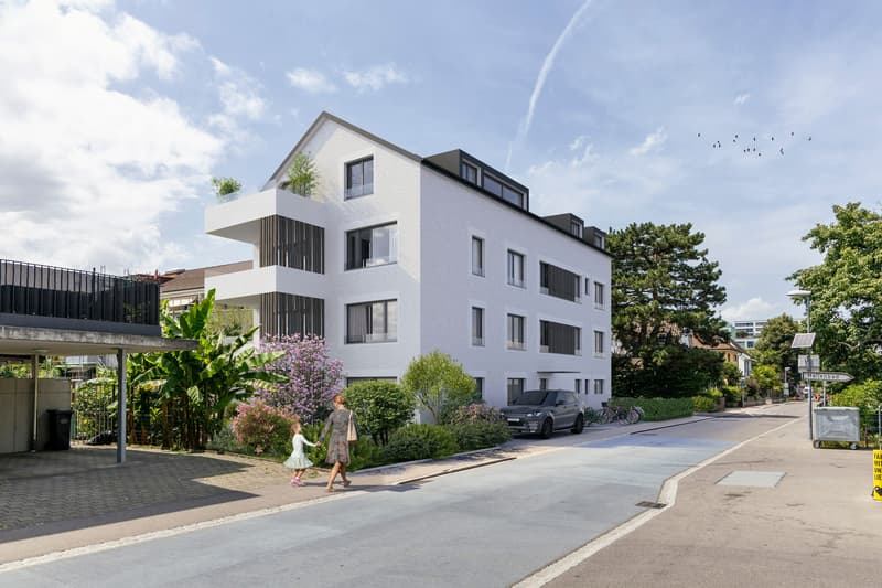 Habitation Élégante, 3,5 pièces, appartement mansardé dans quartier populaire (4)