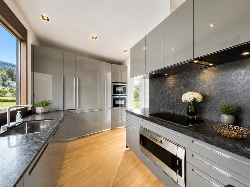 Panoramic view of Lake Geneva and the Alps (2)