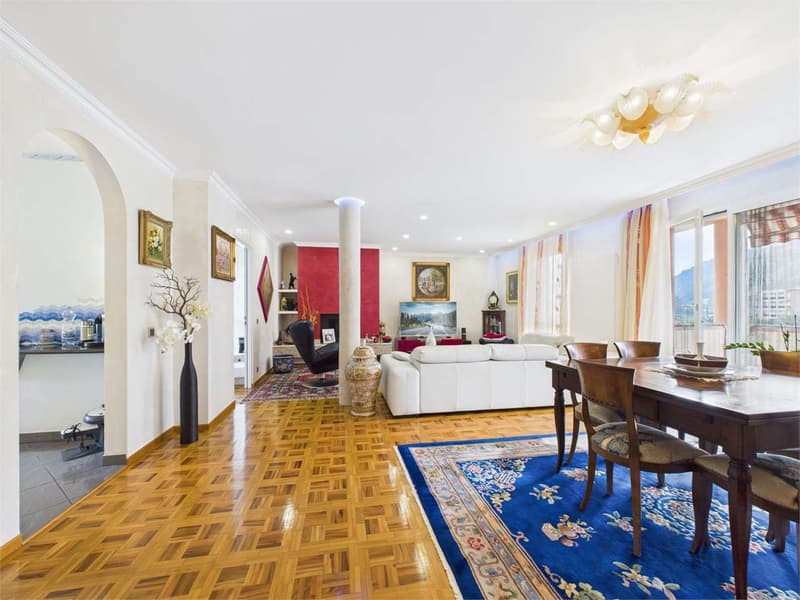 Elegant high-standing apartment - divisible into two units (3)