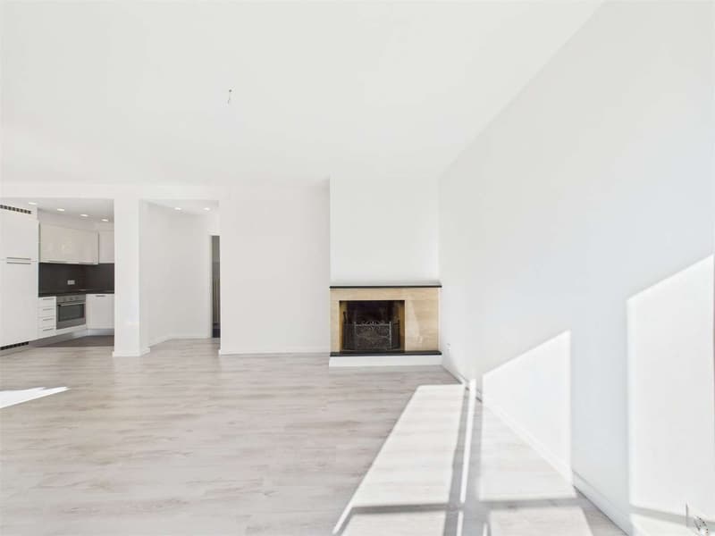 Prestigious detached house with a view of Lake Lugano - Also available as (8)