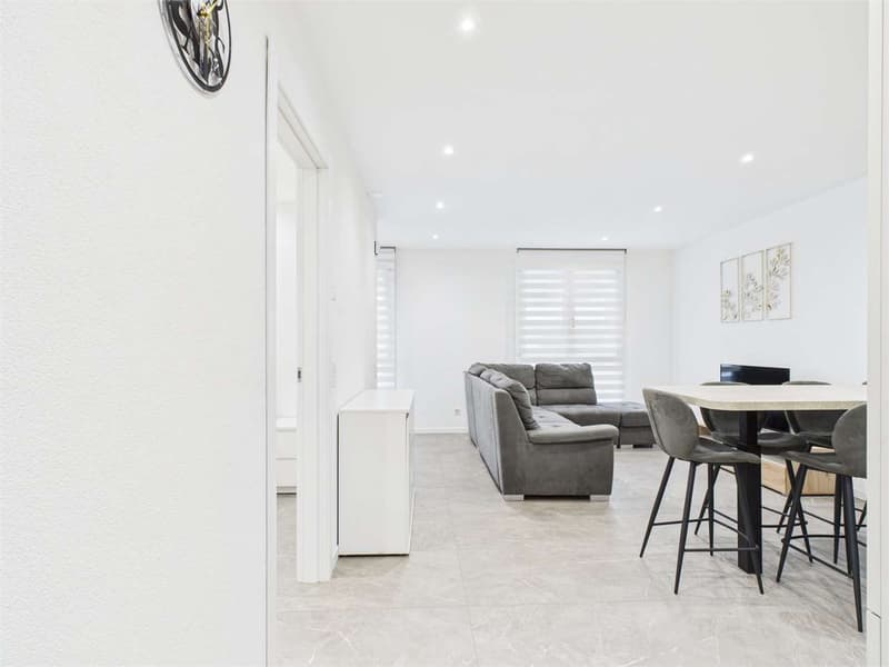 INVESTITION IMMOBILIEN 4%: 3,5 ZIMMER MIT ERTRAG IN NEUBAU (8)