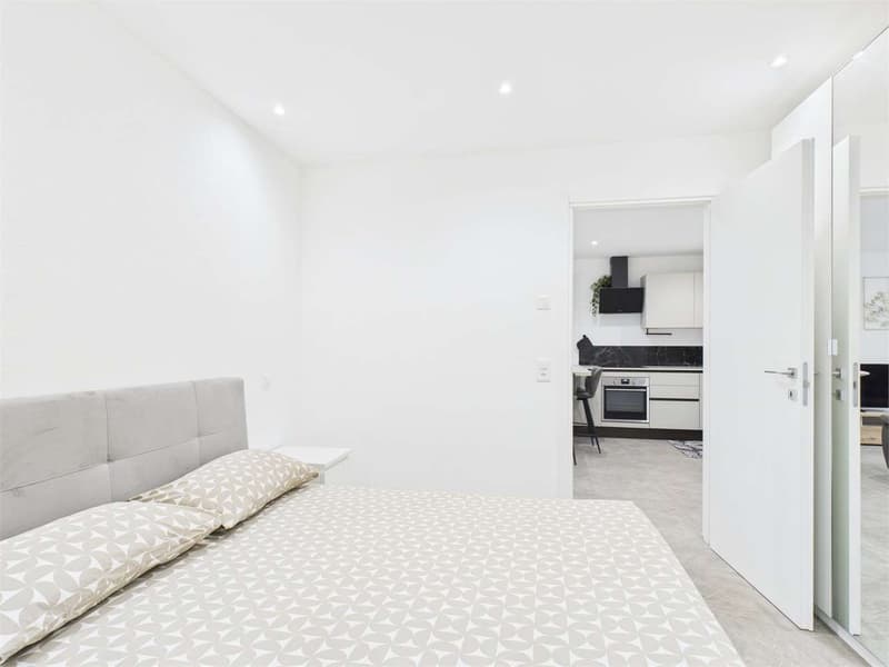 INVESTITION IMMOBILIEN 4%: 3,5 ZIMMER MIT ERTRAG IN NEUBAU (13)