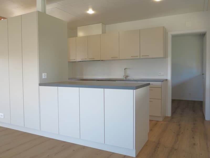 Appartamento-mansarda moderno 4.5 locali a Jens (8)
