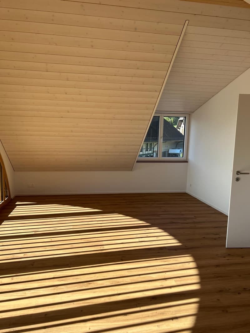 Appartamento-mansarda moderno 4.5 locali a Jens (15)