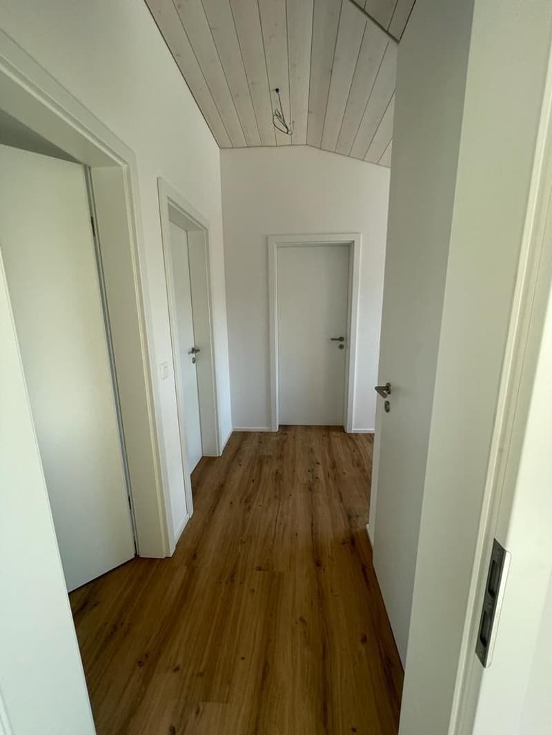 Appartamento-mansarda moderno 4.5 locali a Jens (16)