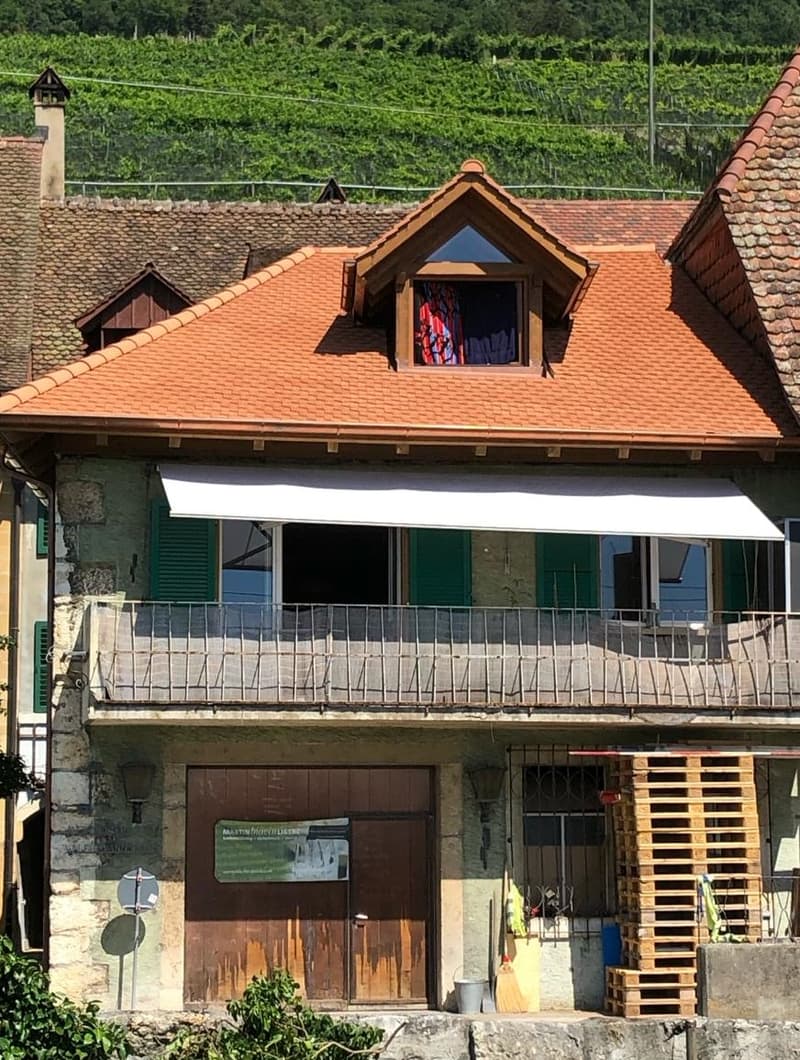 Incantevole appartamento maisonette di 4 locali con balcone e vista lago a Ligerz (6)