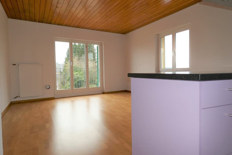 Incantevole appartamento maisonette di 4 locali con balcone e vista lago a Ligerz (3)