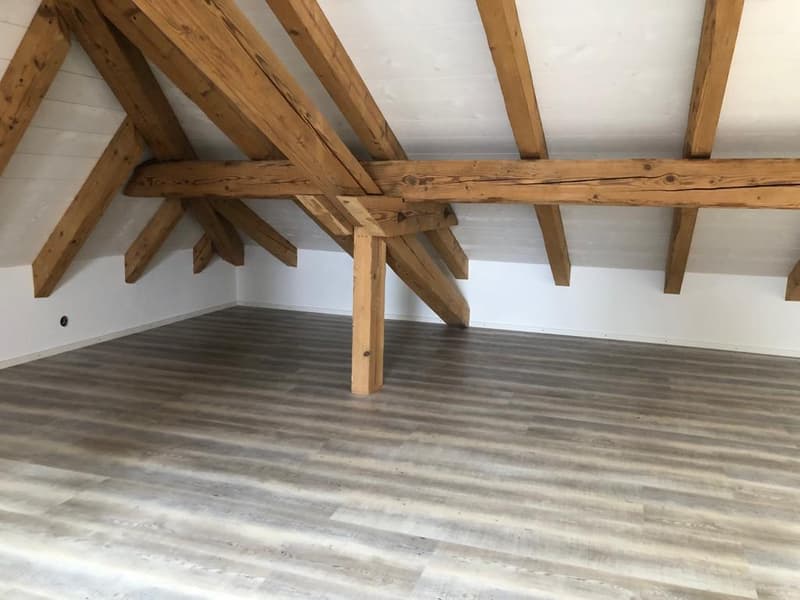 Incantevole appartamento maisonette di 4 locali con balcone e vista lago a Ligerz (14)