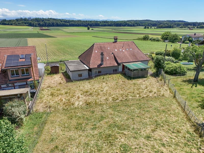 Terrain à bâtir attractif à Täuffelen – 1'567 m² avec vue et possibilité de créer quelque chose de nouveau (6)