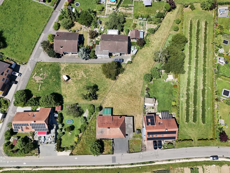 Terrain à bâtir attractif à Täuffelen – 1'567 m² avec vue et possibilité de créer quelque chose de nouveau (1)