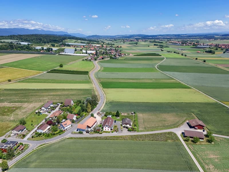 Terrain à bâtir attractif à Täuffelen – 1'567 m² avec vue et possibilité de créer quelque chose de nouveau (14)