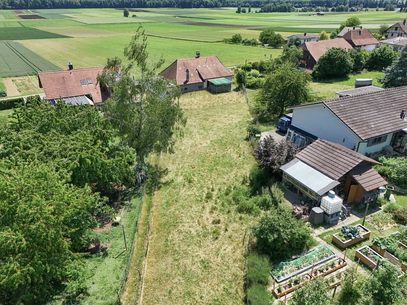Terrain à bâtir attractif à Täuffelen – 1'567 m² avec vue et possibilité de créer quelque chose de nouveau (7)