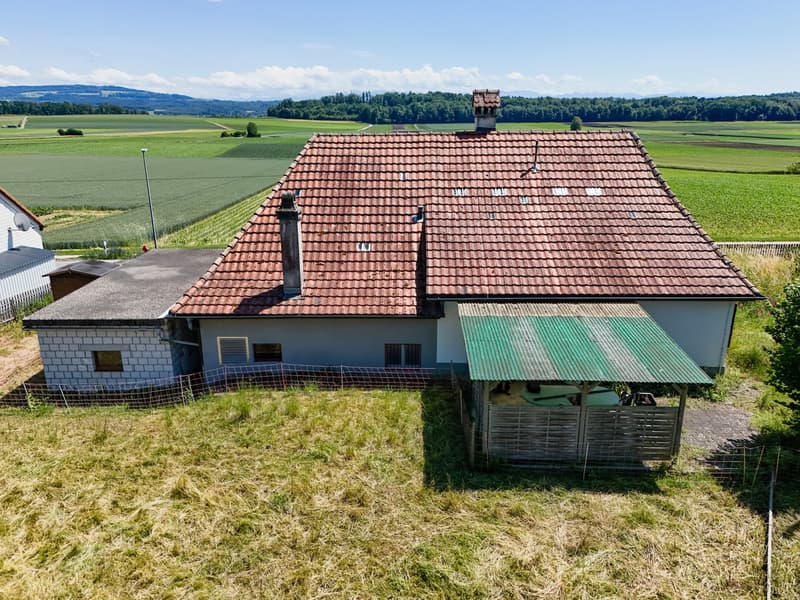 Terrain à bâtir attractif à Täuffelen – 1'567 m² avec vue et possibilité de créer quelque chose de nouveau (5)
