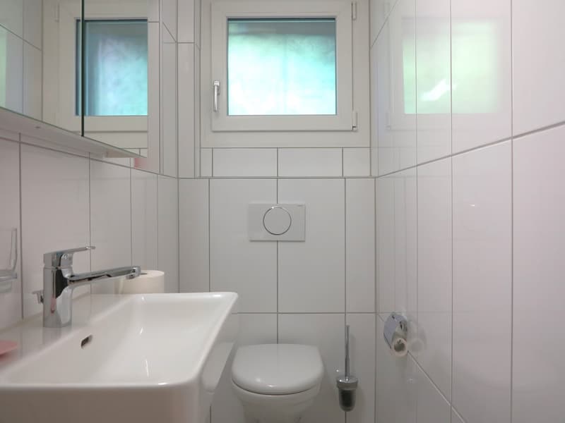 Unique Opportunity: Charming Single-Family Home in a Quiet Location in Port (17)