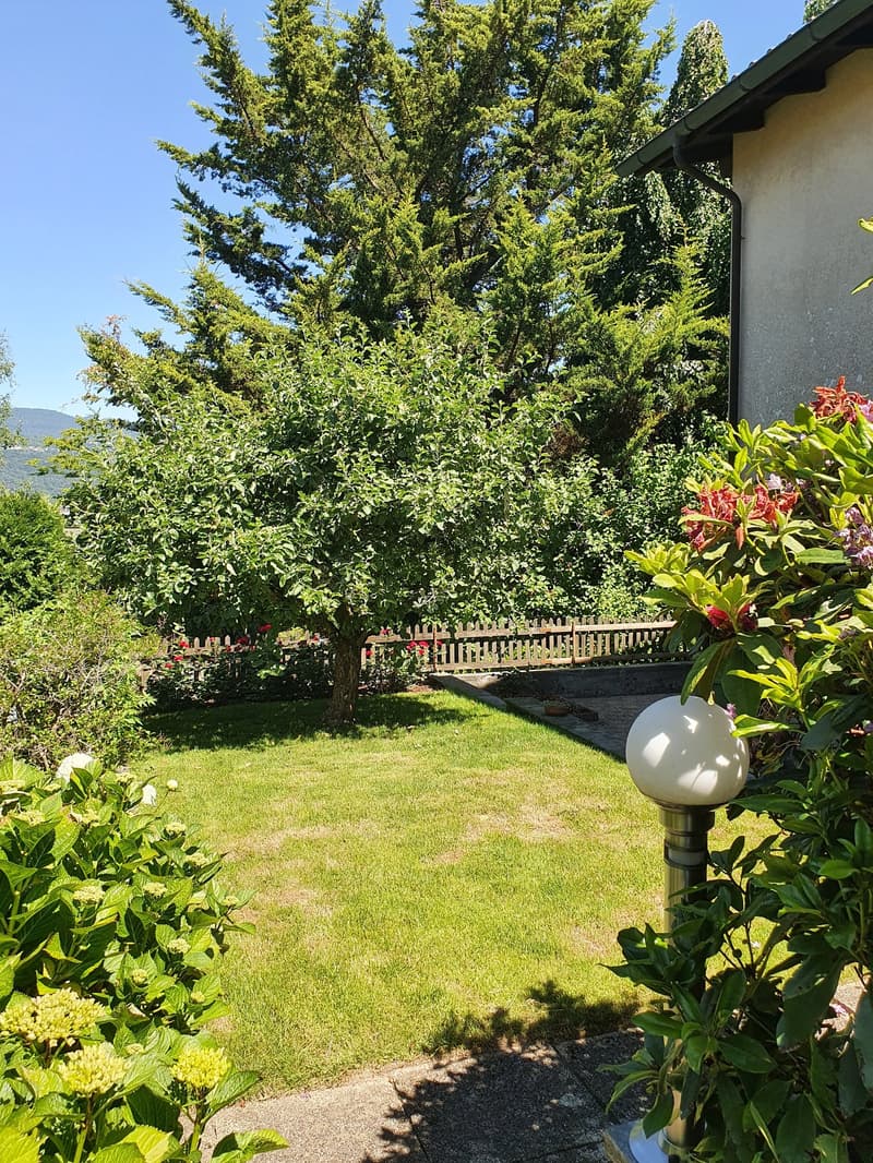 Unique Opportunity: Charming Single-Family Home in a Quiet Location in Port (3)