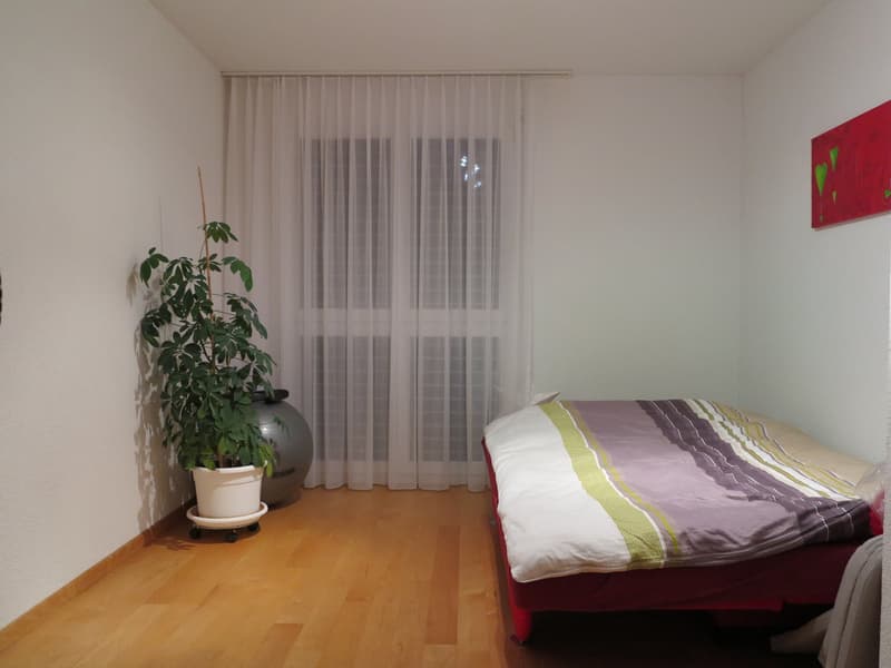 Appartamento di 4 locali luminoso con balcone e vicinanza al lago a Gerolfingen (6)