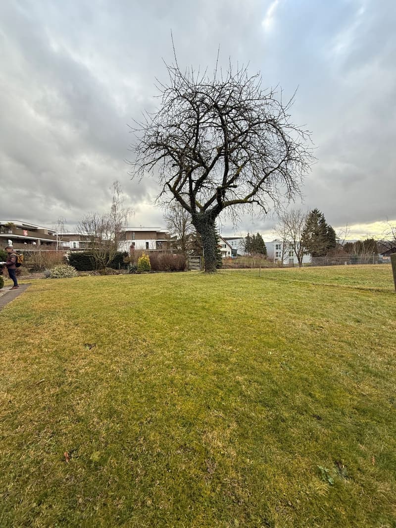 Charming 7.5-room farmhouse in Winkel for rent (6)