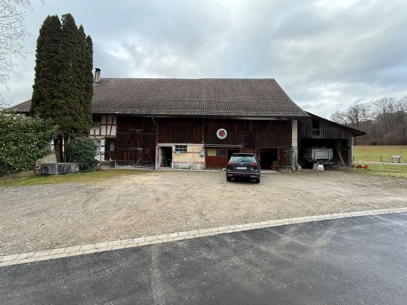Charming 7.5-room farmhouse in Winkel for rent (4)