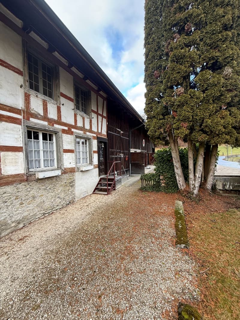 Charming 7.5-room farmhouse in Winkel for rent (3)