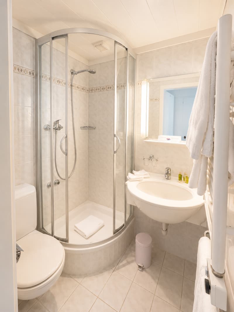 1-ZW Hôtel Europa (6)