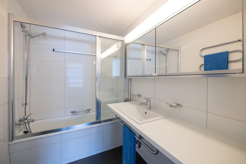 2 1/2-ZW Residence Europe, Nr. 504 (9)