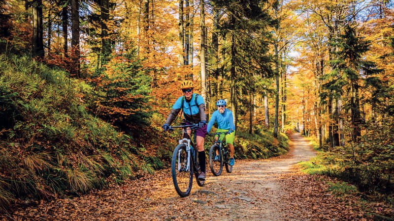 *** Ferien PERLE nahe den Bergbahnen und Skibus direkt vor der Haustüre *** (16)