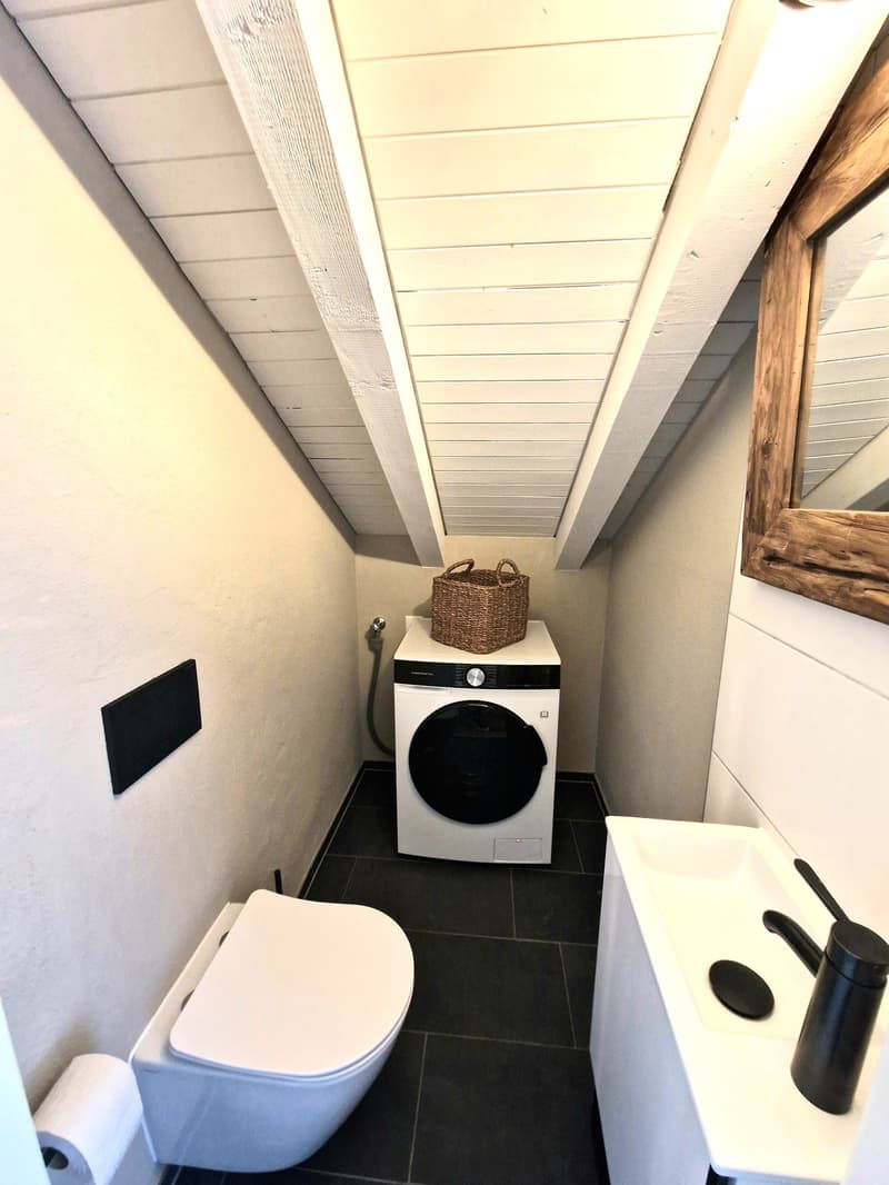 Separates WC mit Lavabo und Kombi Waschmaschine