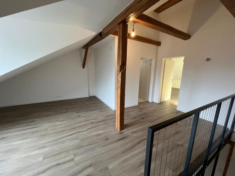 Newly renovated 4.5-room maisonette apartment in the heart of the city (17)