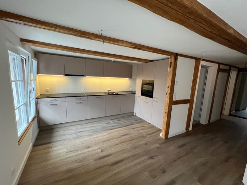 Newly renovated 4.5-room maisonette apartment in the heart of the city (1)