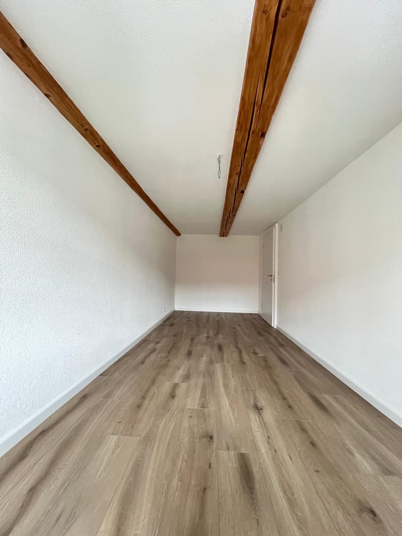 Newly renovated 4.5-room maisonette apartment in the heart of the city (10)