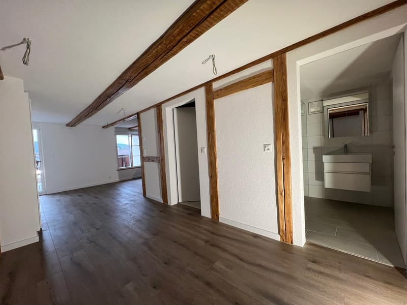 Newly renovated 4.5-room maisonette apartment in the heart of the city (3)