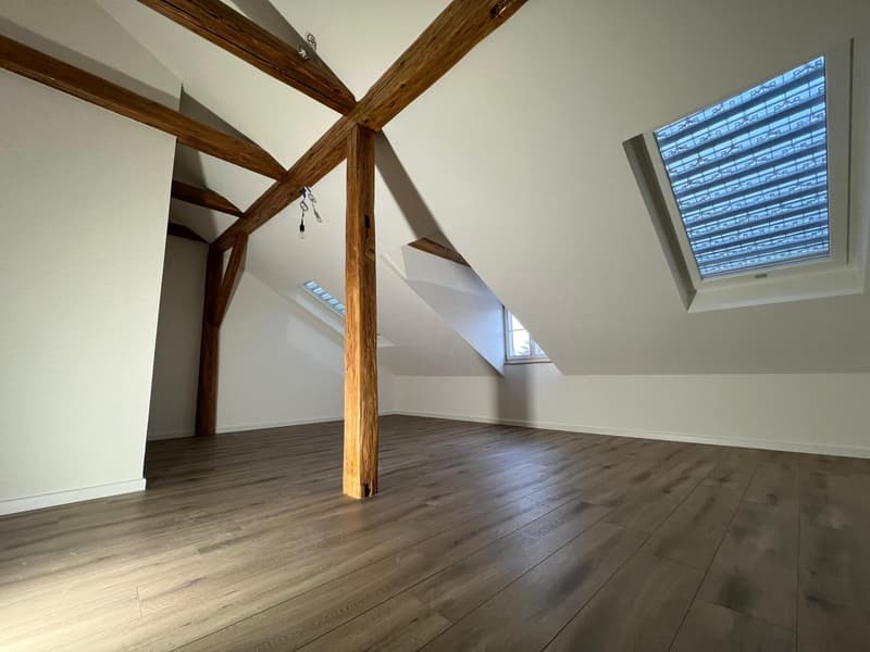 Newly renovated 4.5-room maisonette apartment in the heart of the city (18)
