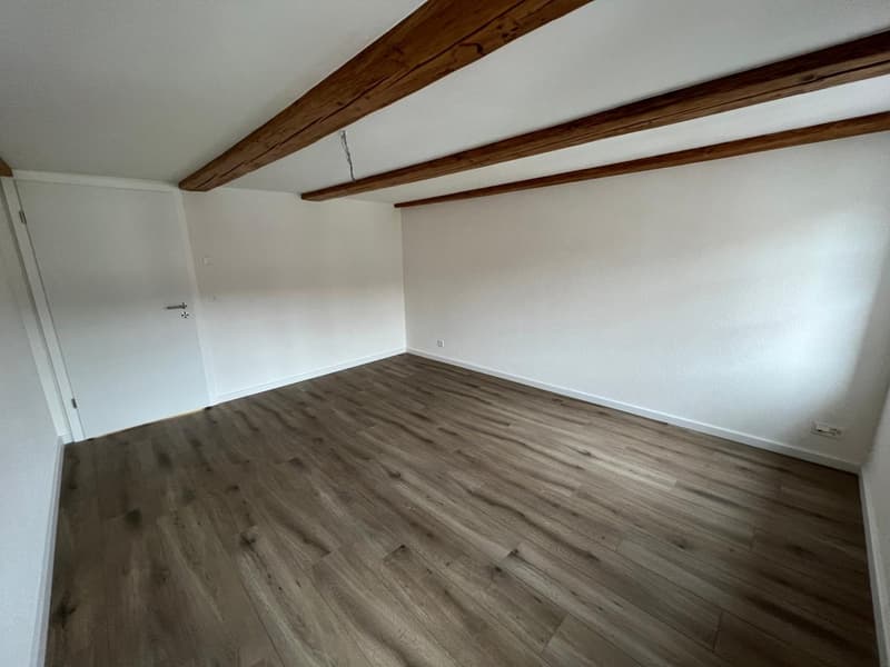 Newly renovated 4.5-room maisonette apartment in the heart of the city (7)