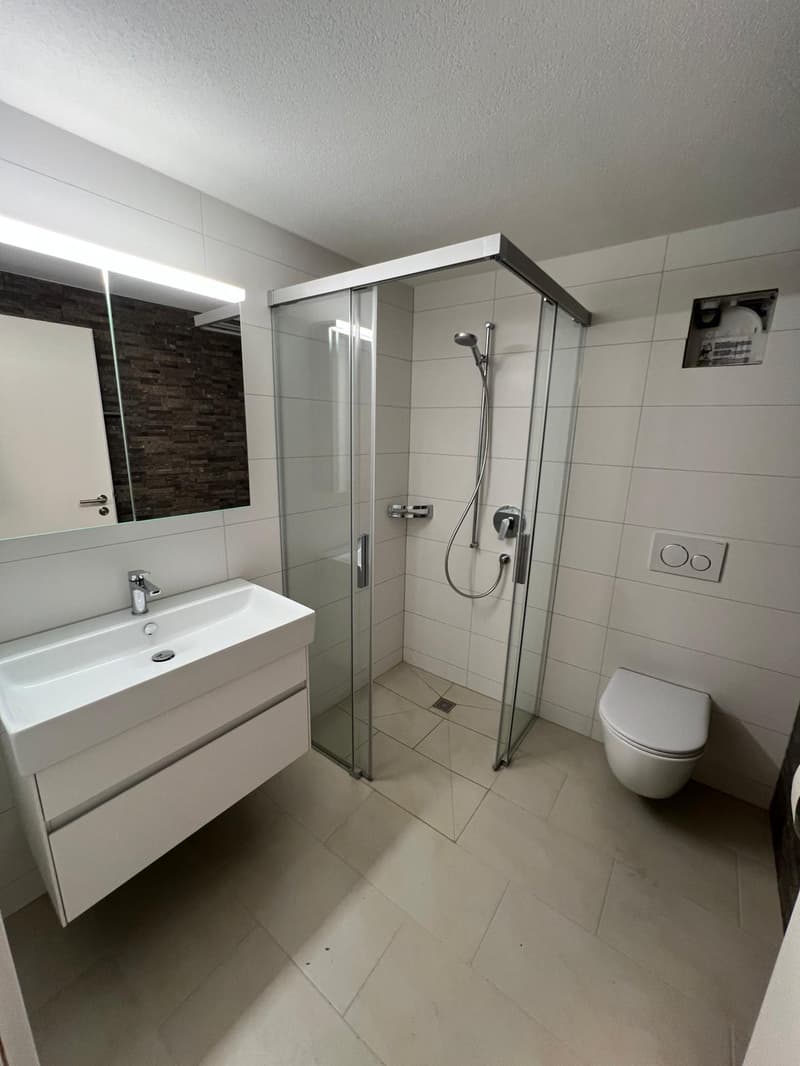 Neu renovierte 3.5 Zimmerwohnung mitten im Städtli (14)