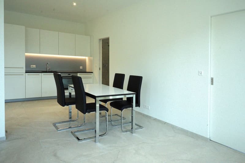 Appartement de 2,5 pièces rénové - 1er étage (Appartement 3) (10)