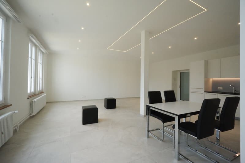 Appartement de 2,5 pièces rénové - 1er étage (Appartement 3) (7)