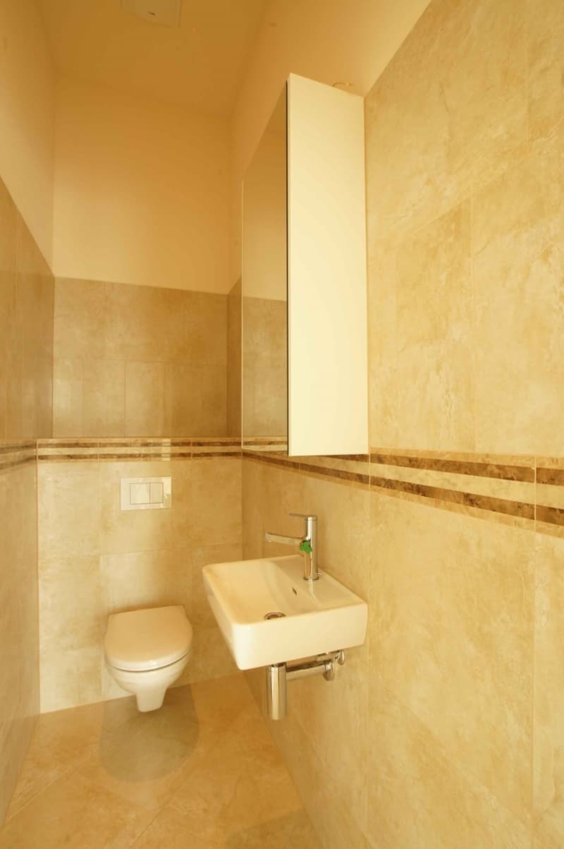 Appartement le plus spécial de 4 1/2 pièces dans le Mittelland avec 129 m2 ! (13)