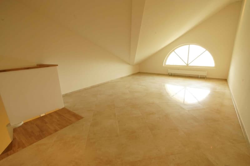 Appartement le plus spécial de 4 1/2 pièces dans le Mittelland avec 129 m2 ! (8)
