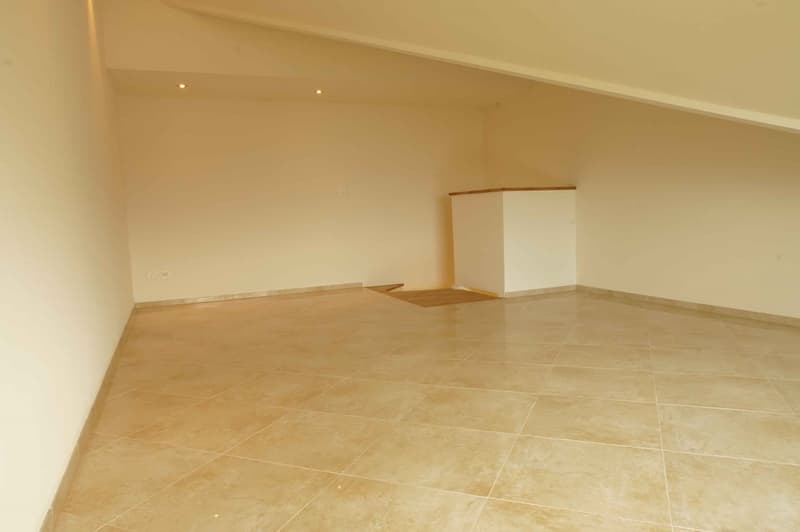 Appartement le plus spécial de 4 1/2 pièces dans le Mittelland avec 129 m2 ! (9)